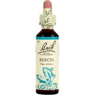 Bach Beech Συμπλήρωμα Διατροφής με Εκχύλισμα Οξιάς για Ενίσχυση της Κατανόησης & της Επιείκειας 20ml