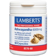 Lamberts Ashwagandha Συμπλήρωμα Διατροφής με Εκχύλισμα Ασβαγκάντας που Συμβάλλει στην Τόνωση του Ανοσοποιητικού Συστήματος 6000mg, 60caps