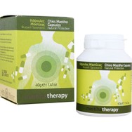 PharmaQ Chios Mastiha Therapy Συμπλήρωμα Διατροφής με 100% Φυσική Μαστίχα Χίου για την Αντιμετώπιση του Πεπτικού & Στομαχικού Έλκους 90caps