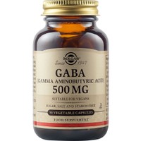 Solgar Gaba 500mg, 50veg.caps - Συμπλήρωμα Διατροφής Γάμμα Άμινο Βουτυρικού Οξέως για την Καλή Λειτουργία του Νευρικού Συστήματος