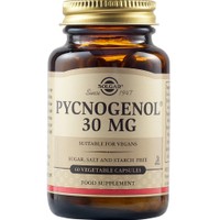 Solgar Pycnogenol 30mg, 60veg.caps - Συμπλήρωμα Διατροφής Εκχυλίσματος Πεύκου για την Καλή Υγεία του Καρδιαγγειακού & Ανοσοποιητικού Συστήματος