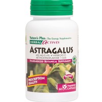 Natures Plus Astragalus 450mg 60caps - Συμπλήρωμα Διατροφής Εκχυλίσματος του Βοτάνου Αστράγαλου για την Ενεργοποίηση & Ενίσχυση του Ανοσοποιητικού Συστήματος με Αντιφλεγμονώδεις Ιδιότητες