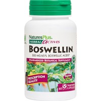 Natures Plus Boswellin 300mg 60caps - Συμπλήρωμα Διατροφής Συμπλήρωμα Διατροφής Εκχυλίσματος Ρητίνης Ινδικού Λιβανιού με Αντιφλεγμονώδεις & Οστεοπροστατευτικές Ιδιότητες Κατά του Άσθματος