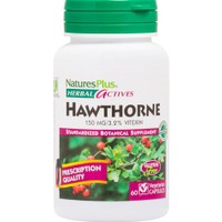Natures Plus Hawthorne 150mg 60caps - Συμπλήρωμα Διατροφής με Εκχύλισμα του Βοτάνου Κράταιγου για τη Φυσιολογική Λειτουργία της Καρδιάς & του Καρδιαγγειακού Συστήματος με Ισχυρές Αντιοξειδωτικές Ιδιότητες