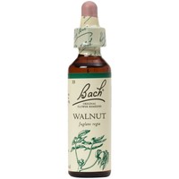 Bach Walnut Ανθοΐαμα σε Σταγόνες 20ml - Συμπλήρωμα Διατροφής με Εκχύλισμα Καρυδιού για Αυτοπεποίθηση & Έλεγχο των Καταστάσεων