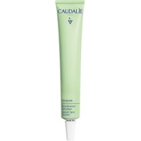 Caudalie Vinopure Salicylic Spot Solution 15ml - Κρέμα Προσώπου Τοπικής Εφαρμογής με Φυσικό Σαλικυλικό Οξύ, Νιασιναμίδη & Αιθέριο Έλαιο Tea Tree που Καταπολεμά τα Σπυράκια & Μειώνει την Ερυθρότητα για Λιπαρές Επιδερμίδες με Τάση Ακμής