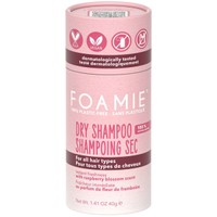 Foamie Dry Shampoo for All Hair Types 40g - Ξηρό Σαμπουάν σε Μορφή Πούδρας για Όλους τους Τύπους & Χρωματισμούς των Μαλλιών