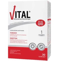 Vital Plus Q10 30 Softgels - Συμπλήρωμα Διατροφής Συνένζυμου Q10 & Πολυβιταμινών για Ενέργεια & Τόνωση με Ισχυρό Ανοσοποιητικό