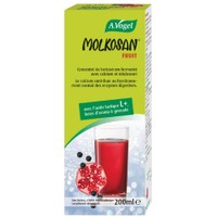 A.Vogel Molkosan Fruit  Πρεβιοτικό Σκεύασμα για τη Σωστή Λειτουργία Του Πεπτικού Συστήματος 200ml