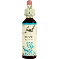 Bach Beech Ανθοΐαμα σε Σταγόνες 20ml - Συμπλήρωμα Διατροφής με Εκχύλισμα Οξιάς για Ενίσχυση της Κατανόησης & της Επιείκειας