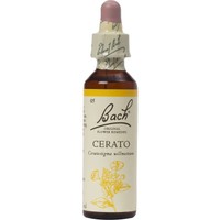 Bach Cerato Ανθοΐαμα σε Σταγόνες 20ml - Συμπλήρωμα Διατροφής με Εκχύλισμα Κερατοστίγματος για Ενίσχυση της Κρίσης & της Διαίσθησης