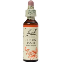 Bach Cherry Plum Ανθοΐαμα σε Σταγόνες 20ml - Συμπλήρωμα Διατροφής με Εκχύλισμα Δαμασκηνιάς για Πνευματική Ισορροπία & Αυτοέλεγχο