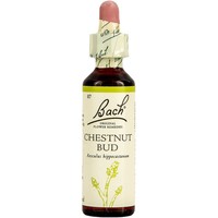 Bach Chestnut Bud Ανθοΐαμα σε Σταγόνες 20ml - Συμπλήρωμα Διατροφής με Εκχύλισμα Αγριοκαστανιάς για Ενίσχυση της Αποφασιστικότητας & της Αντίληψης