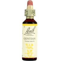 Bach Gentian Ανθοΐαμα σε Σταγόνες 20ml - Συμπλήρωμα Διατροφής Ανθοϊάματος με Εκχύλισμα Γεντιάνης για Ενδυνάμωση του Αισθήματος της Ελπίδας & Εξάλειψη Αβεβαιότητας