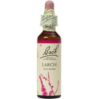 Bach Larch Ανθοΐαμα σε Σταγόνες 20ml - Συμπλήρωμα Διατροφής με Εκχύλισμα Αγριόπευκου για την Ενίσχυση της Αισιοδοξίας & του Αισθήματος Εμπιστοσύνης