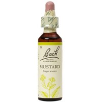 Bach Mustard Ανθοΐαμα σε Σταγόνες 20ml - Συμπλήρωμα Διατροφής Ανθοϊάματος με Εκχύλισμα Σιναπιού για Αντιμετώπιση του Αισθήματος της Μελαγχολίας & Κατάθλιψης