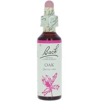 Bach Oak Ανθοΐαμα σε Σταγόνες 20ml - Συμπλήρωμα Διατροφής Ανθοϊάματος με Εκχύλισμα Βελανιδιάς για Πνευματική Τόνωση & Ενέργεια Κατά της Κούρασης
