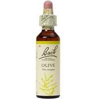 Bach Olive Ανθοΐαμα σε Σταγόνες 20ml - Συμπλήρωμα Διατροφής Ανθοϊάματος με Εκχύλισμα Ελιάς για Αντιμετώπιση της Πνευματικής & Σωματικής Εξάντλησης