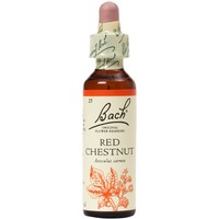 Bach Red Chestnut Ανθοΐαμα σε Σταγόνες 20ml - Συμπλήρωμα Διατροφής Ανθοϊάματος με Εκχύλισμα Κόκκινης Αγριοκαστανιάς