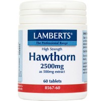 Lamberts Hawthorn 2500mg, 60tabs - Συμπλήρωμα Διατροφής με Εκχύλισμα Κράταιγου με Καρδιοτονωτικές Ιδιότητες