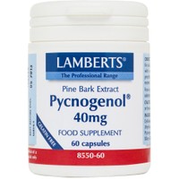 Lamberts Pycnogenol 40mg, 60caps - Συμπλήρωμα Διατροφής με Εκχύλισμα Πεύκου Maritime με Αντιοξειδωτικές & Αντιφλεγμονώδεις Ιδιότητες