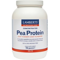 Lamberts Concentrated Pea Protein Powder 750g - Συμπλήρωμα Διατροφής Πρωτεΐνης Μπιζελιού για Αποκατάσταση & Αύξηση Καθαρής Μυϊκής Μάζας