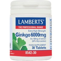 Lamberts Ginkgo Biloba Extract 6000mg, 30tabs - Συμπλήρωμα Διατροφής για την Καλή Λειτουργία του Κυκλοφορικού & της Μνήμης