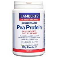 Lamberts Concentrated Pea Protein Powder 360g - Συμπλήρωμα Διατροφής Πρωτεΐνης από Μπιζέλι σε Μορφή Σκόνης Υψηλής Καθαρότητας & Αυξημένης Απορρόφησης για Ανάπτυξη & Διατήρηση Μυϊκής Μάζας