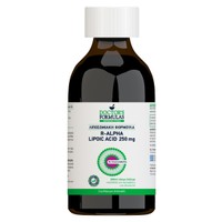Doctor's Formulas Λιποσωμιακό R-Alpha Lipoic Acid 250mg 300ml - Συμπλήρωμα Διατροφής με Ισχυρή Αντιοξειδωτική Δράση