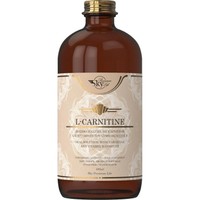 Sky Premium Life L-Carnitine 480ml - Συμπλήρωμα Διατροφής Αμινοξέος Καρνιτίνης για Ενίσχυση του Μεταβολισμού, Ενέργεια & Καλή Καρδιαγγειακή Υγεία σε Πόσιμο Υγρό με Γεύση Πορτοκάλι