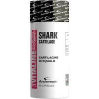 Anderson Shark Cartilage 60caps - Συμπλήρωμα Διατροφής Χόνδρου Καρχαρία Πλούσιο σε Θειϊκή Χονδροϊτίνη για την Καλή Υγεία των Αρθρώσεων σε Αθλητές