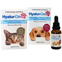Abc Kinitron Hyaluron Pet 30ml - Συμπλήρωμα Διατροφής Πόσιμου Υαλουρονικόυ Οξέος για Σκύλους & Γάτες για την Καλή Υγεία των Αρθρώσεων & Μυών που Χαρίζει Λαμπερό Τρίχωμα