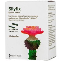 Epsilon Health Silyfix 60caps - Συμπλήρωμα Διατροφής με Εκχύλισμα Γαϊδουράγκαθου που Συμβάλλει στην Προστασία & Καλή Υγεία του Ήπατος