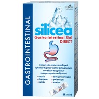 Hubner Silicea Gastrointestinal Gel DIRECT Πόσιμη Γέλη Καθαρού Πυριτίου  6x15ml