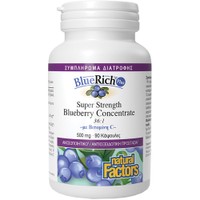 Natural Factors BlueRich Plus 500mg 90caps - Συμπλήρωμα Διατροφής Συμπυκνωμένου Εκχυλίσματος Μύρτιλλου Πλούσιο σε Ανθοκυανίνες & Βιταμίνης C με Πολύ Ισχυρές Αντιοξειδωτικές Ιδιότητες για Ενίσχυση του Ανοσοποιητικού
