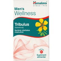 Himalaya Men's Wellness Tribulus 60tabs - Συμπλήρωμα Διατροφής Εκχυλίσματος του Βοτάνου Tribulus για Ενίσχυση της Ανδρικής Γονιμότητας, Σεξουαλικής Υγείας & Ενέργεια