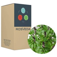 RosVeda Pure Essential Oil Basil 100% Φυτική Σύνθεση, Αιθέριο Έλαιο Βασιλικός, 10ml