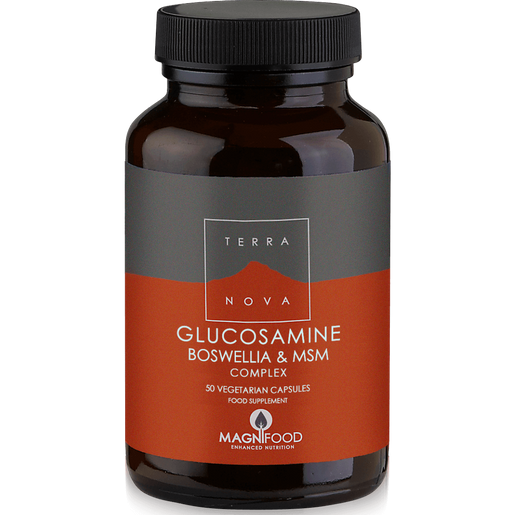 Terranova Glucosamine, Boswellia & MSM Complex - Joint Support 100% Φυτική Σύνθεση για τα Προβλήματα των Αρθρώσεων Terranova Glucosamine, Boswellia & MSM Complex - Joint Support 100% Φυτική Σύνθεση για τα Προβλήματα των Αρθρώσεων