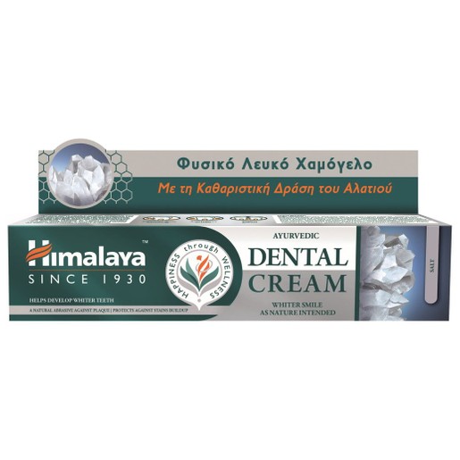 Himalaya Ayurvedic Dental Cream Salt Toothpaste 100gr Himalaya Ayurvedic Dental Cream Salt Toothpaste 100gr