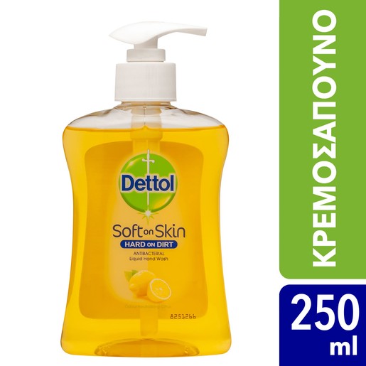 Dettol Liquid Soap Citrus Αντιβακτηριδιακό Υγρό Κρεμοσάπουνο με Εκχύλισμα Κίτρου 250ml Dettol Liquid Soap Citrus Αντιβακτηριδιακό Υγρό Κρεμοσάπουνο με Εκχύλισμα Κίτρου 250ml