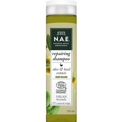 N.A.E. Riparazione Repairing Shampoo Σαμπουάν Επανόρθωσης για Ξηρά Μαλλιά 250ml N.A.E. Riparazione Repairing Shampoo Σαμπουάν Επανόρθωσης για Ξηρά Μαλλιά 250ml