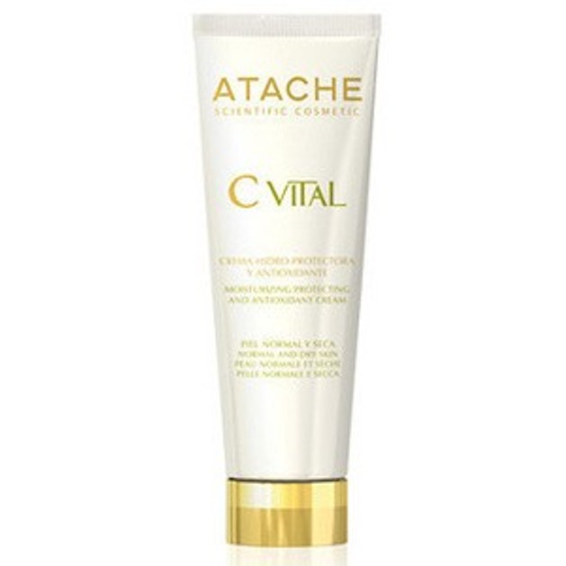 Atache C Vital AHA Gel Oil Free Ενυδατικό Τζελ για Μικτές/Λιπαρές Επιδερμίδες 50ml Atache C Vital AHA Gel Oil Free Ενυδατικό Τζελ για Μικτές/Λιπαρές Επιδερμίδες 50ml