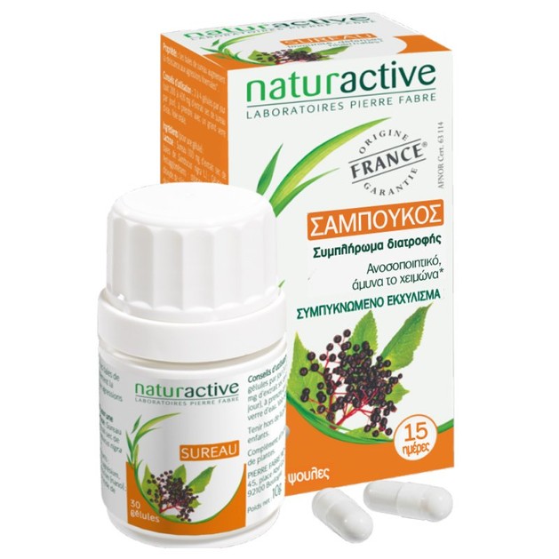 Naturactive Σαμπούκος (Μούρα Κουφοξυλιάς) Συμπλήρωμα Διατροφής για την Θωράκιση του Οργανισμού Ενάντια στο Κρυολόγημα 30caps Naturactive Σαμπούκος (Μούρα Κουφοξυλιάς) Συμπλήρωμα Διατροφής για την Θωράκιση του Οργανισμού Ενάντια στο Κρυολόγημα 30caps