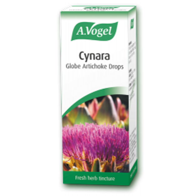 A.Vogel Cynara Αντιμετώπιση Χοληστερίνης Αποτοξινωτικό Τονωτικό Του Ήπατος 50ml A.Vogel Cynara Αντιμετώπιση Χοληστερίνης Αποτοξινωτικό Τονωτικό Του Ήπατος 50ml