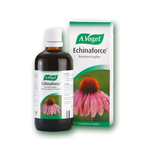 A.Vogel Echinaforce Αντιμετώπιση Των Κρυολογημάτων Του Συναχιού Των Ιώσεων 50ml A.Vogel Echinaforce Αντιμετώπιση Των Κρυολογημάτων Του Συναχιού Των Ιώσεων 50ml