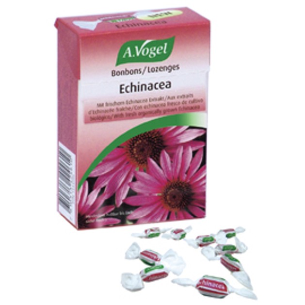 A.Vogel Echinacea Bonbons Πρόληψη Κατά Κρυολογημάτων 30gr A.Vogel Echinacea Bonbons Πρόληψη Κατά Κρυολογημάτων 30gr
