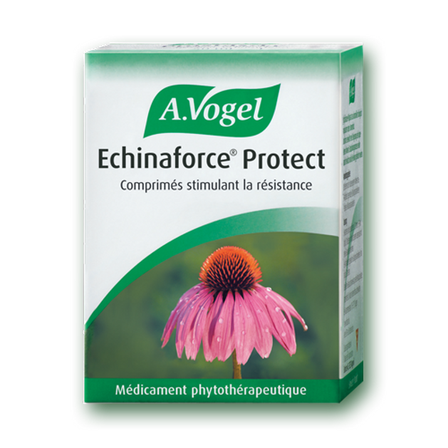 A.Vogel Echinaforce Protect 1140mg Αντιμετώπιση Των Κρυολογημάτων Του Συναχιού Των Ιώσεων 40 tabs A.Vogel Echinaforce Protect 1140mg Αντιμετώπιση Των Κρυολογημάτων Του Συναχιού Των Ιώσεων 40 tabs
