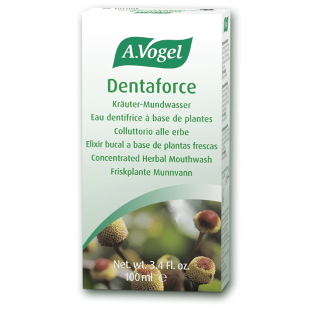 A.Vogel Dentaforce Mouthwash Για Επίπονες Φλεγμονές Της Στοματικής Κοιλότητας 100ml A.Vogel Dentaforce Mouthwash Για Επίπονες Φλεγμονές Της Στοματικής Κοιλότητας 100ml