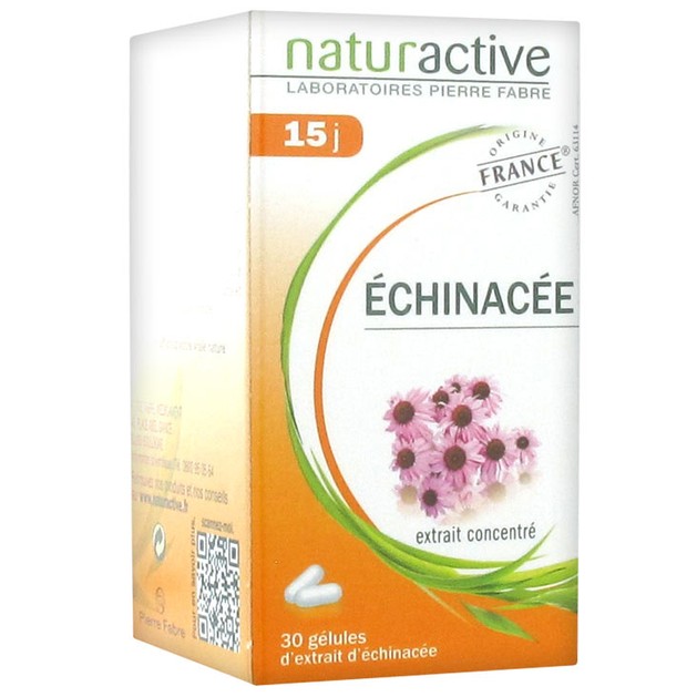 Naturactive Echinachea Συμπλήρωμα Διατροφής για Φυσική Ενίσχυση του Οργανισμού & Προστασία του Ανοσοποιητικού Naturactive Echinachea Συμπλήρωμα Διατροφής για Φυσική Ενίσχυση του Οργανισμού & Προστασία του Ανοσοποιητικού