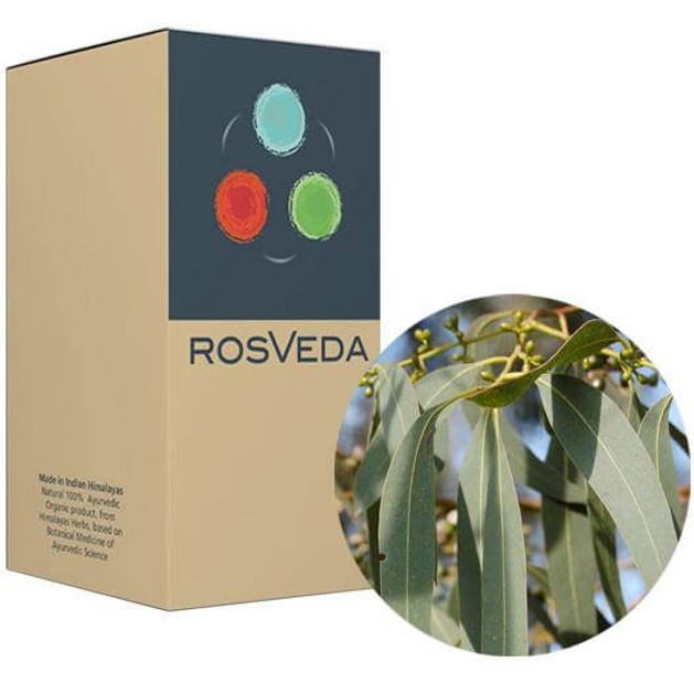 RosVeda Pure Essential Oil Eucalyptus, 100% Φυτική Σύνθεση, Αιθέριο Έλαιο Ευκάλυπτος 10ml RosVeda Pure Essential Oil Eucalyptus, 100% Φυτική Σύνθεση, Αιθέριο Έλαιο Ευκάλυπτος 10ml
